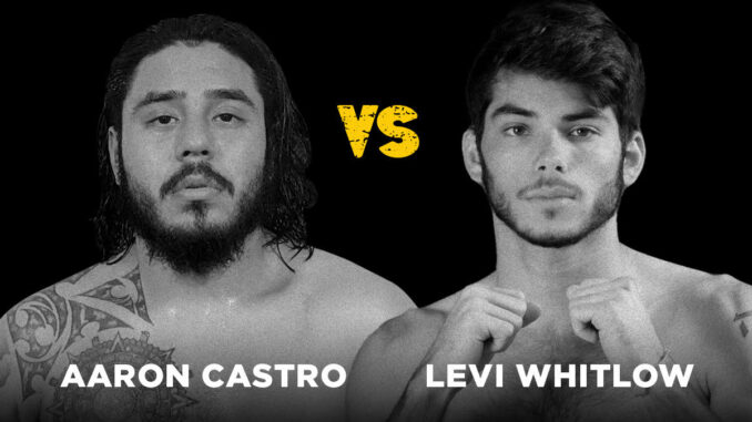 Aaron Castro and Levi Whitlow make their professional MMA debuts